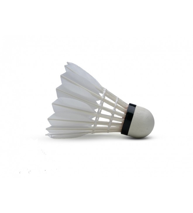 SHUTTLECOCK